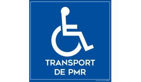 Transport de personnes handicapées - 200 x 200 mm - Signalisation adhésive pour véhicule